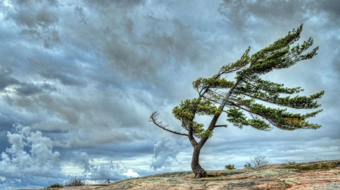 В Азербайджане объявлены желтое и оранжевое предупреждения из-за ветра 
