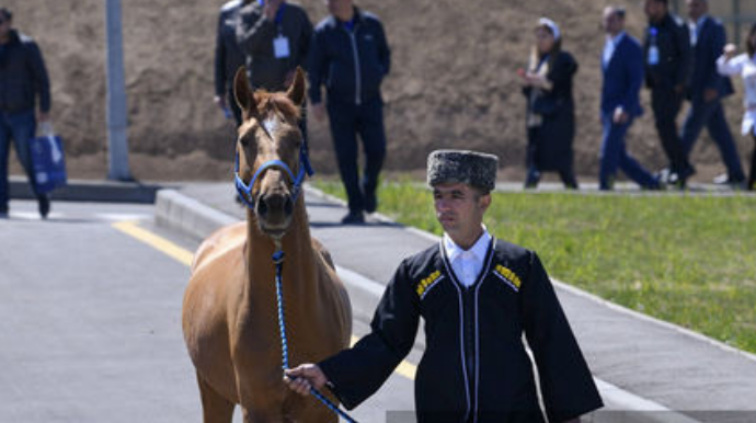 İlk hərrac: Qarabağ atlarından ikisi satıldı, biri isə yarışa çıxarılacaq - YENİLƏNİB + FOTO 
