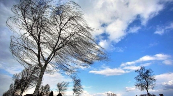 В Баку и регионах Азербайджана усилится ветер - ПРЕДУПРЕЖДЕНИЕ 