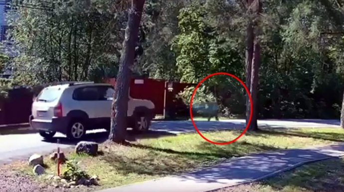 Qəfil yol qaçan azyaşlını avtomobil vurdu - VİDEO 