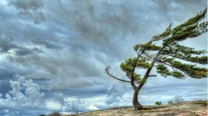 Küləklə bağlı növbəti - XƏBƏRDARLIQ 