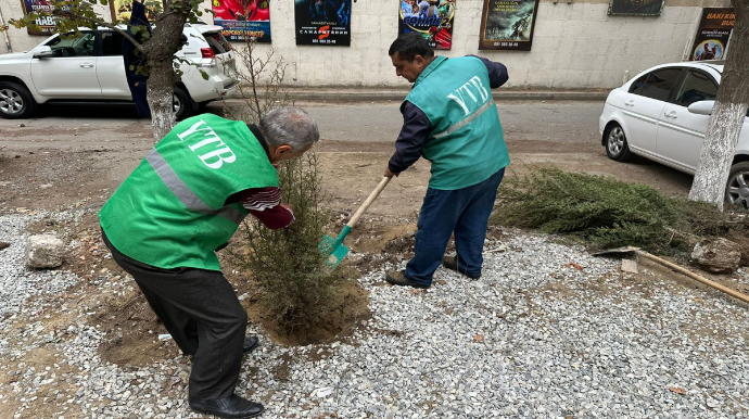 Avtodayanacaq üçün ağacların kəsilməsi ilə bağlı sənədlər Baş Prokurorluğa göndərilib 
