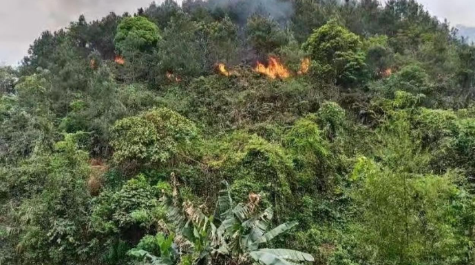 Portuqaliyada yanğınsöndürən təyyarə qəzaya uğrayıb 