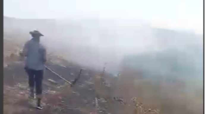 Şamaxıda biçilmiş əkin sahəsini yandıran şəxslər müəyyən olunub