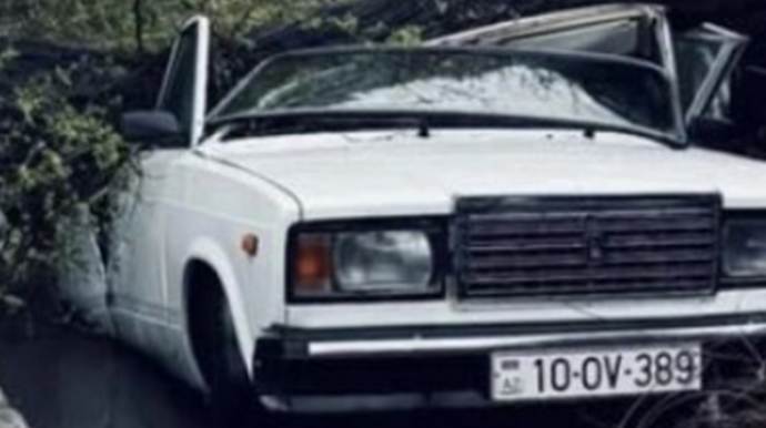 Bakıda ağac avtomobilin üstünə aşdı - FOTOLAR 