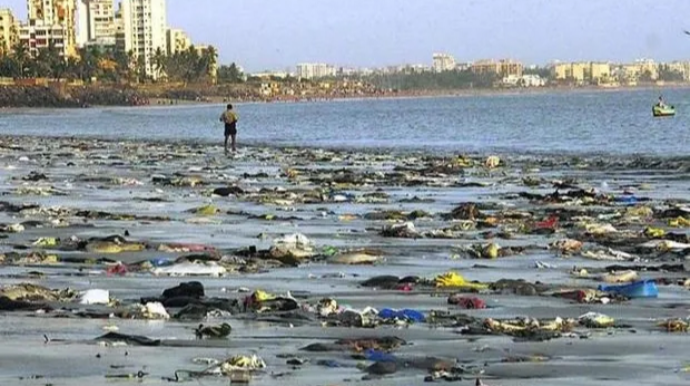 "Bakıda məişət tullantılarını maşınla daşıyıb Xəzərə tökürlərmiş" - Ekoloq 