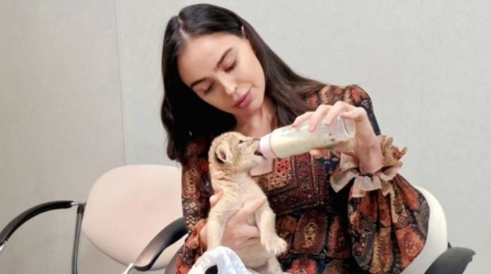 Leyla Əliyevanın şir balası ilə maraqlı GÖRÜNTÜSÜ 