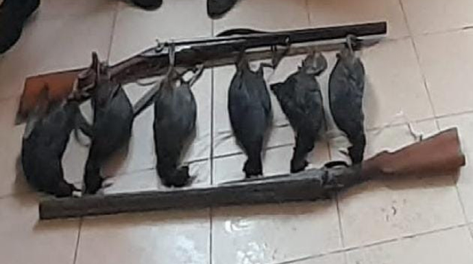 Şabranda ov edənlər saxlanılıb - FOTO 