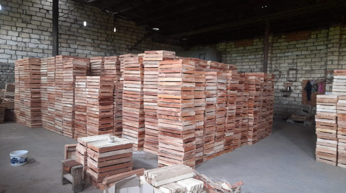 Göyçayda qanunsuz fəaliyyət göstərən taxta emalı sexləri aşkarlanıb  - FOTO