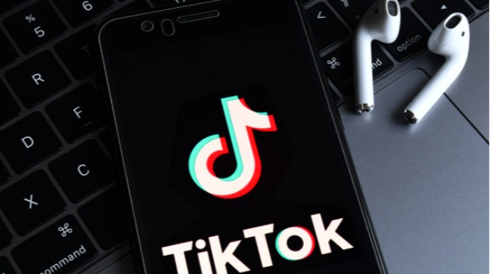 Bu ölkədə hərbçilərə "TikTok" qadağan edildi