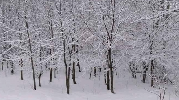 Lerikdə 50 sm qar yağdı - FAKTİKİ HAVA 