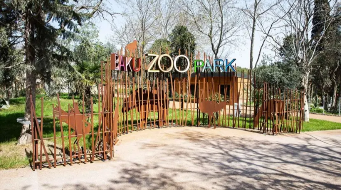 Bakı zooparkı ləğv olunur 