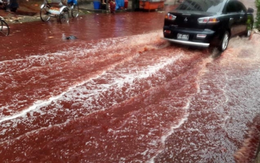 Paytaxt küçələrindən qan seli axdı – FOTO+VİDEO