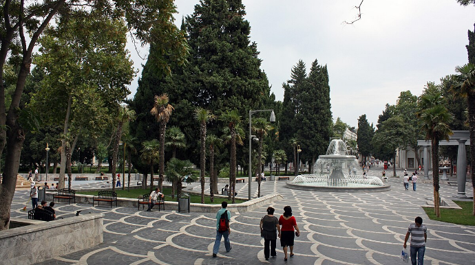 “Tarqovı”da yeni restoran açmaq üçün AĞACLARI KƏSİRLƏR - VİDEO 