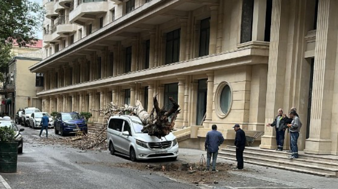 Bakıda ağac avtomobilin üzərinə aşdı 