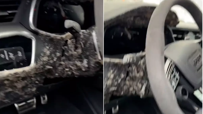 Soyuq havada avtomobildə qalan qazlı içki donaraq partladı; salon yararsız hala düşdü - VİDEO 