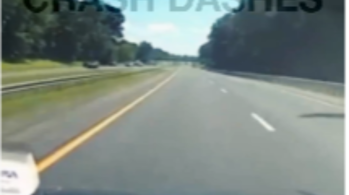 Avropalı sığortaçıların ağackəsmə tələbi  - VİDEO