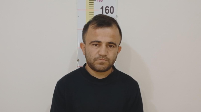 Zaqatalada 27 baş qoyun oğurladı, həbs edildi - FOTO - VİDEO