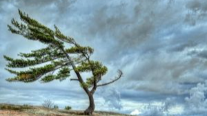 Qubada güclü külək kəndləri işıqsız qoydu