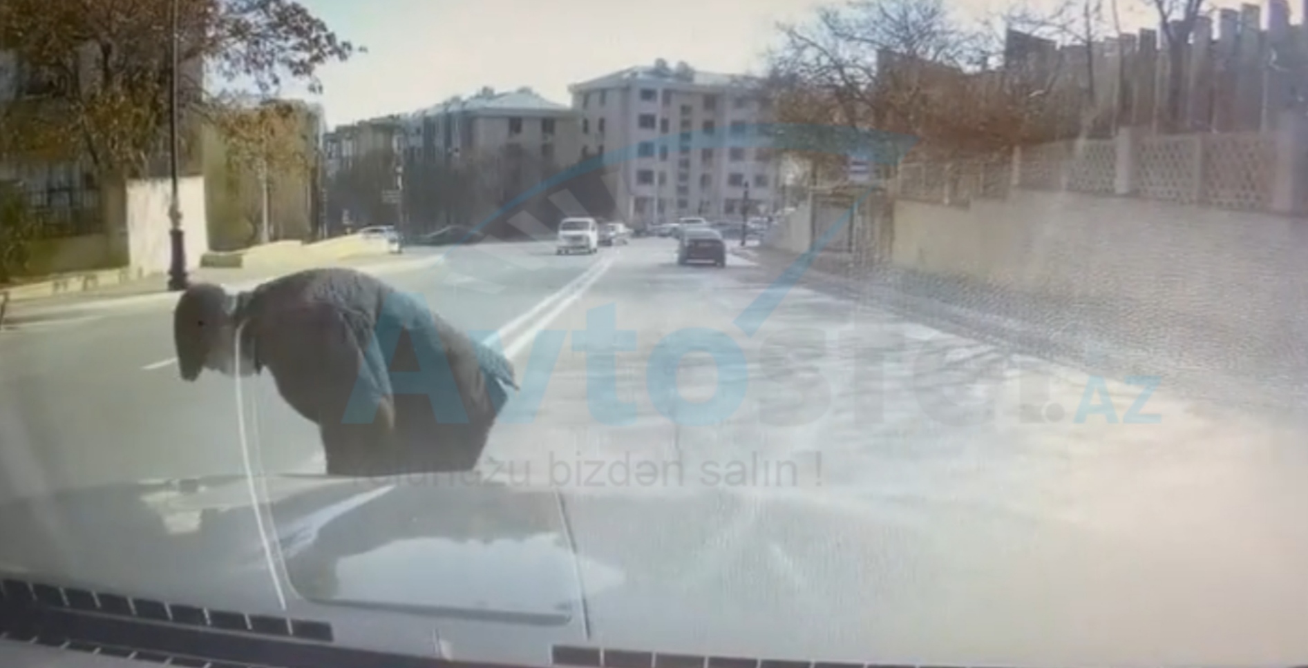 Bakıda yaşlı kişi özünü yerə yıxıb sürücünü şərlədi  - VİDEO