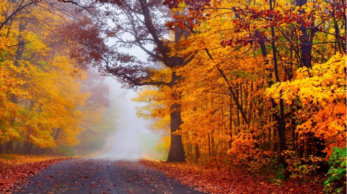 Oktyabrda hava necə olacaq?