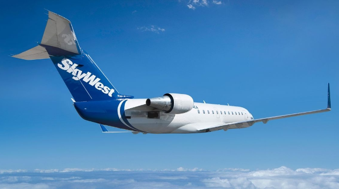 Uçuş heyəti sərnişini döydü - VİDEO