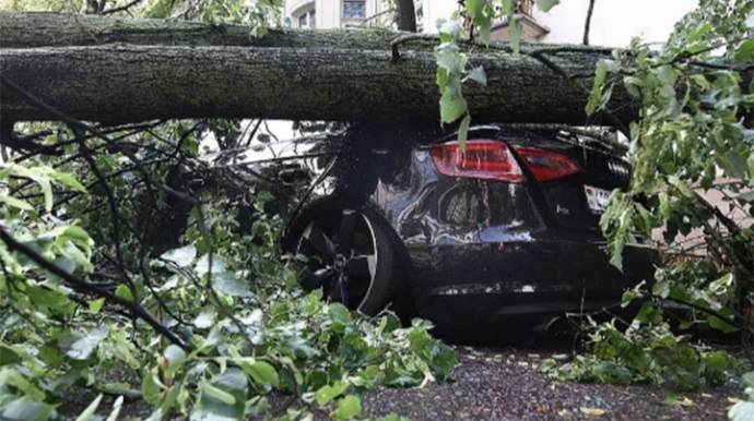 Güclü külək 37 ağacı aşırdı,  11 avtomobilə isə ziyan vurdu - FOTO 