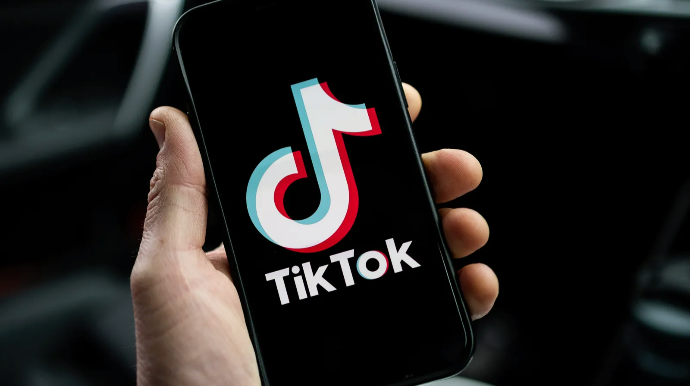 "TikTok"da deputatları və icra başçılarını söydü - 10 sutka həbs olundu 