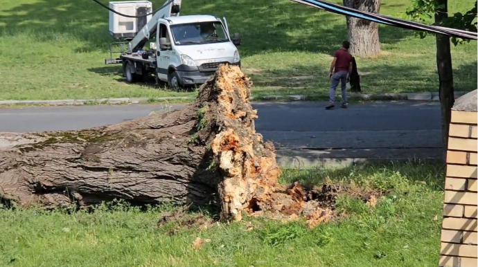 Şəkidə güclü küləyin yaratdığı fəsadlar aradan qaldırılıb - FOTO 