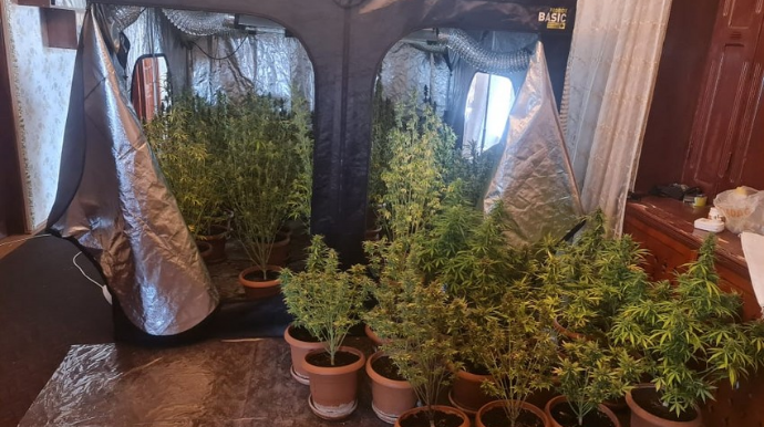 Ucarda evində narkotik "parnik"i yaradan şəxs saxlanılıb  - FOTO