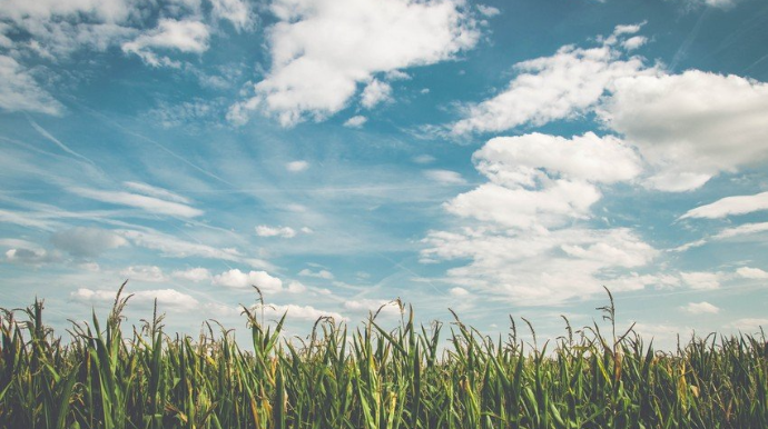 Sabah hava buludlu olacaq