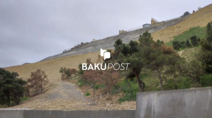 Bayılda sürüşmə zonasındakı ağacları kim qurudub?  - FOTO