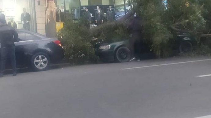 Külək Bakıda bir sıra fəsadlar törədib - FOTO