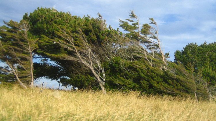 Sabah güclü külək əsəcək - XƏBƏRDARLIQ 