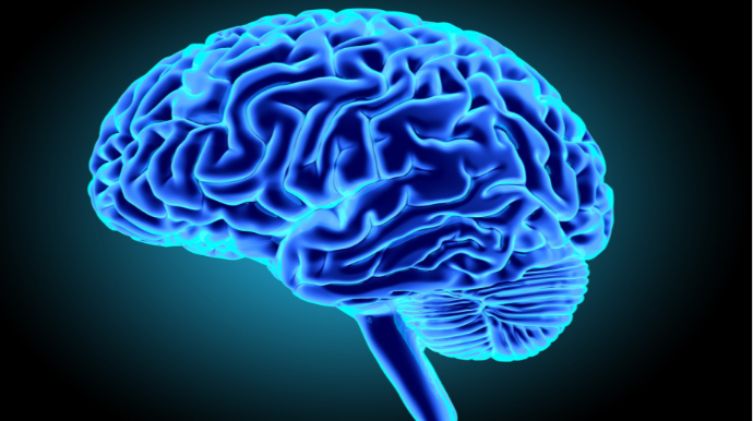 Qocalmaya qarşı qoruyucu zülallar aşkarlanıb - TƏDQİQAT 