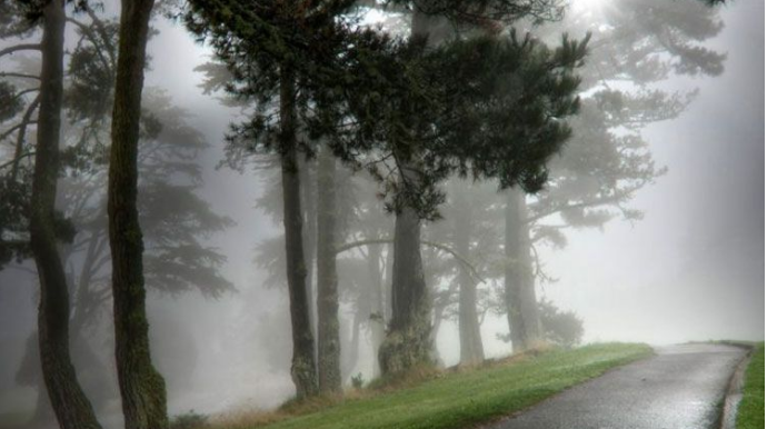 Sabaha olan hava proqnozu