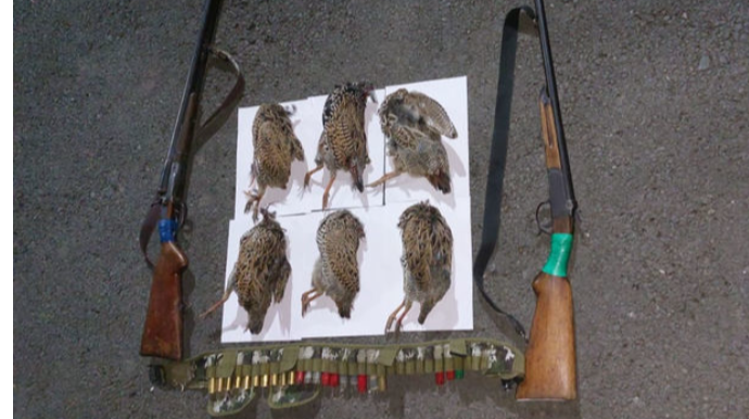 В Билясуварском районе задержаны подозреваемые в охоте на краснокнижных птиц