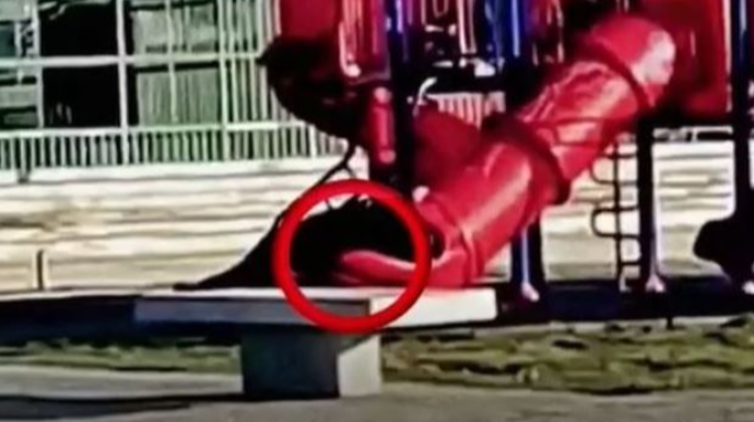 Çili prezidenti sürüşkəndə ilişib qaldı - VİDEO 