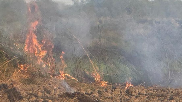 Zərdabda yanğın törədən şəxs məsuliyyətə cəlb olundu 