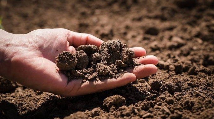 Azərbaycanda növbəti torpaq hərracı elan edildi 