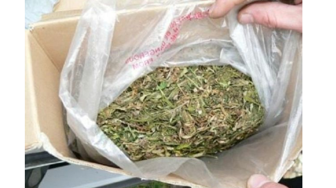 У жителя Агджабеди изъяли 10 кг наркотиков - ФОТО
