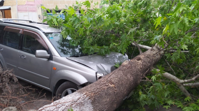Bərdədə güclü külək fəsadlar törədib - FOTO 