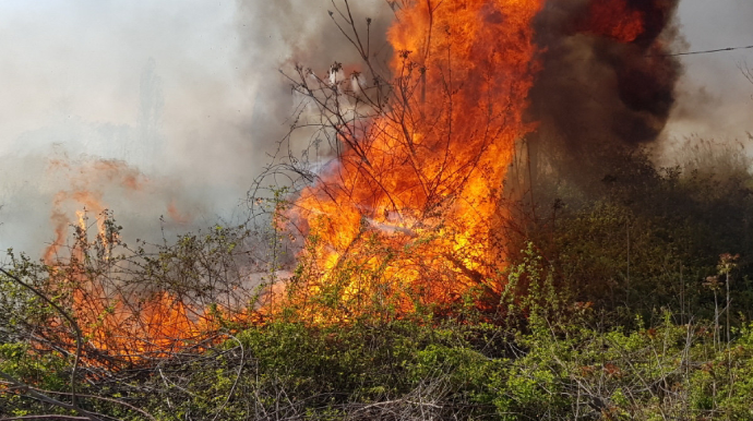 Qubadakı yanğına görə bir nəfər məsuliyyətə cəlb edilib  - FOTO