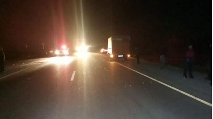 Şəkidə yük maşını atlını vuraraq öldürüb - FOTO 