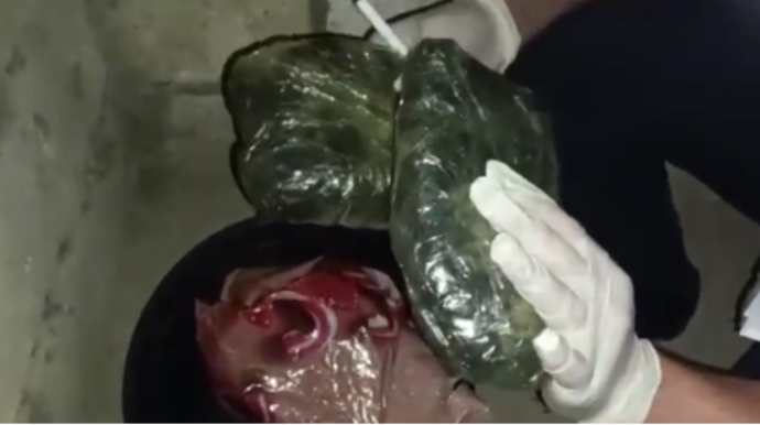 Qaçaqmalçılıq yolu ilə ölkəyə 2 kiloqram tiryək gətirən şəxs saxlanıldı - VİDEO
