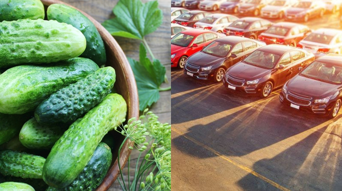 Ekspertdən tövsiyə: avtomobilinizdə xiyar gəzdirin 