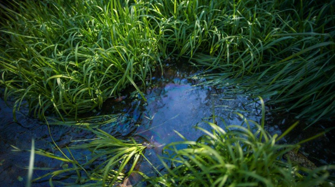 Xəzər dənizinin suyundan istifadə ediləcək