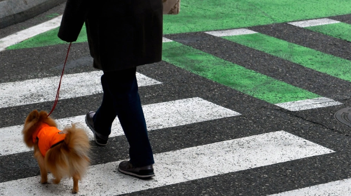 Шагающие по подиуму пешеходы и устраивающие скоростные гонки водители - ВИДЕО