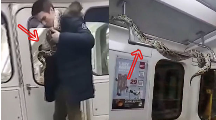 Rusiyalı kişi ilanını metroda “gəzintiyə” çıxardı - VİDEO 