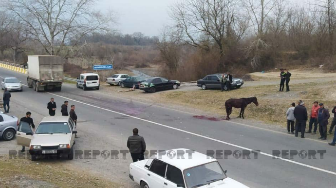 Oğuzda "Mercedes"lə at arabası toqquşdu, heyvan öldü, sahibi yaralandı - FOTO